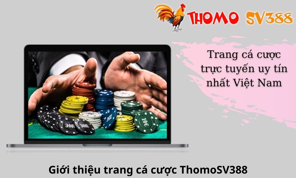 Giới thiệu trang cá cược ThomoSV388